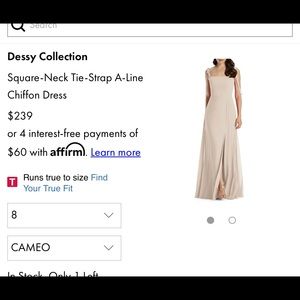 Cameo Chiffon Dress